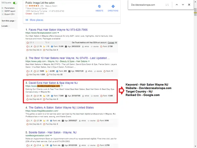 Local SEO Ranking Report