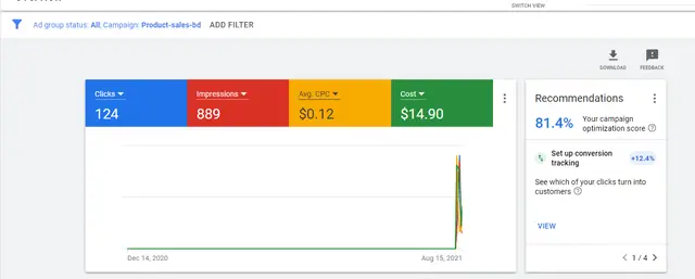 Google Ads Performance Campaign